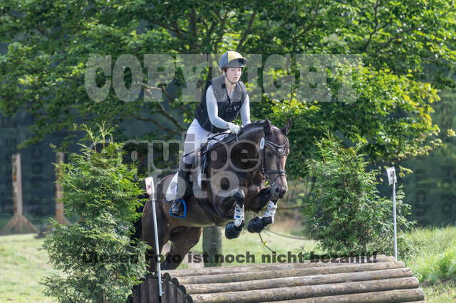 Goldene Schärpe 2021 - Ponys