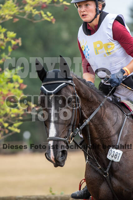 Late-Entry Vielseitigkeit Hamminkeln/Wesel (01.+02.08.2020)