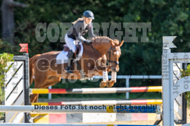 RFV Dinslaken-Hiesfeld (Herbstturnier)