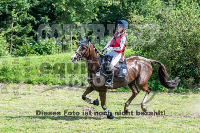 Goldene Schärpe 2021 - Ponys