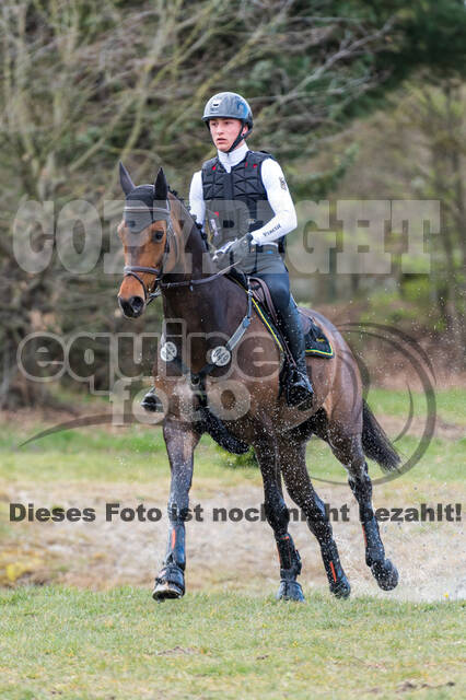 Eventing im Pferdesportzentrum Rheinland (Late Entry 14.03.2022)