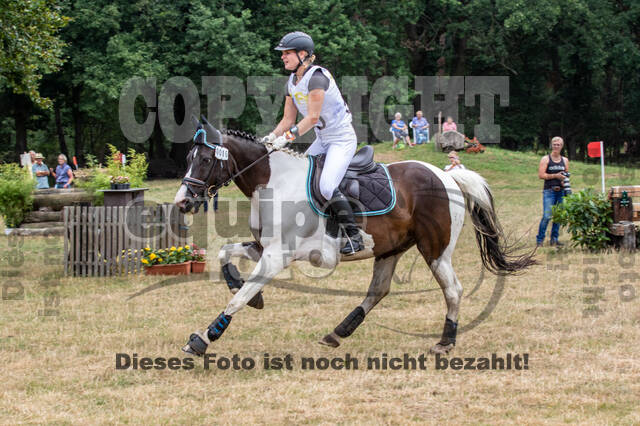 Late-Entry Vielseitigkeit Hamminkeln/Wesel (01.+02.08.2020)