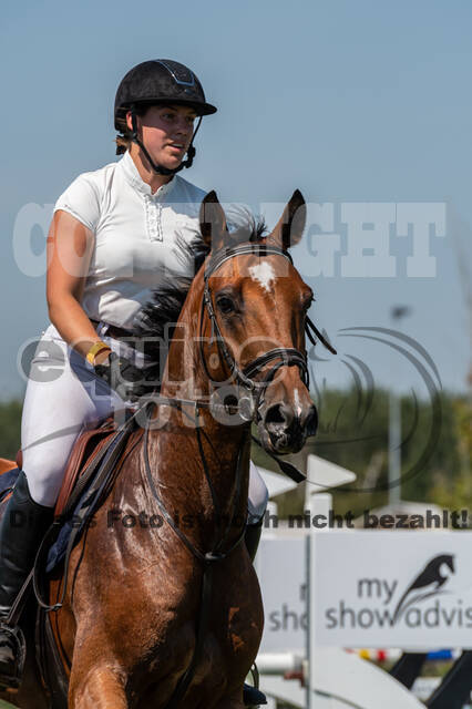 Kronenberg - De Peelbergen (August 2020)