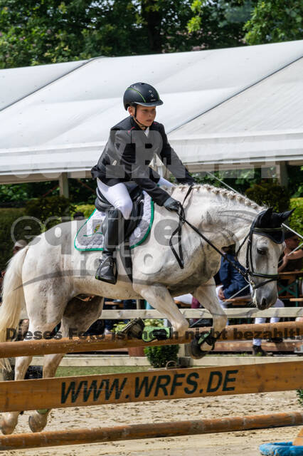 Goldene Schärpe 2021 - Ponys