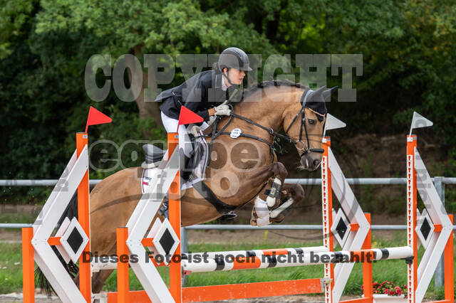 Late-Entry-Vielseitigkeit Langenfeld (06.+07.07.2020)