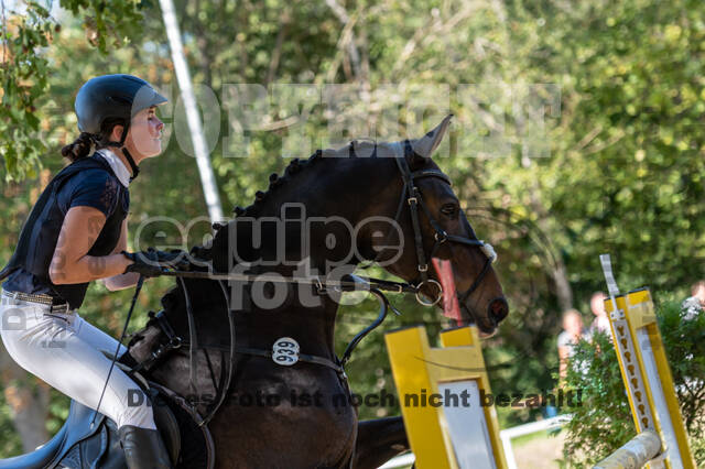 RFV Dinslaken-Hiesfeld (Herbstturnier)