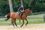 Hunter Geländetraining 10.07.2021 (Sonsbeck)