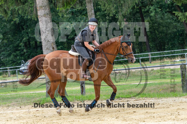 Hunter Geländetraining 10.07.2021 (Sonsbeck)