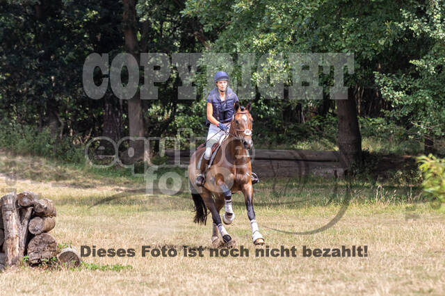 Late-Entry Vielseitigkeit Hamminkeln/Wesel (01.+02.08.2020)