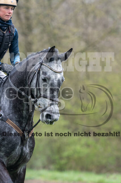 Berufsreiter Late Entry Gahlen 2021