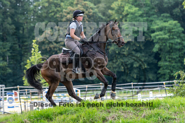 Hunter Geländetraining 10.07.2021 (Sonsbeck)