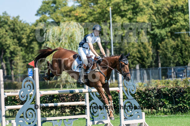 Kronenberg - De Peelbergen (August 2020)