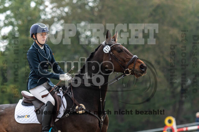 Goldene Schärpe 2020 - Pferde