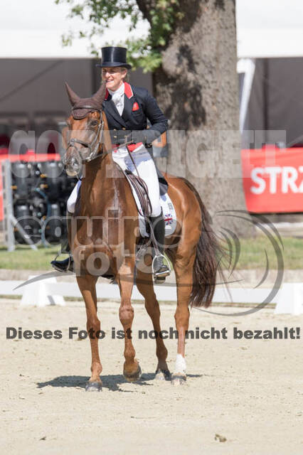FEI European Championship Eventing 2017