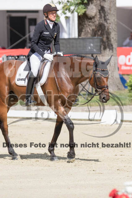 FEI European Championship Eventing 2017