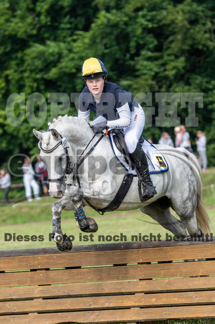 Goldene Schärpe 2021 - Ponys