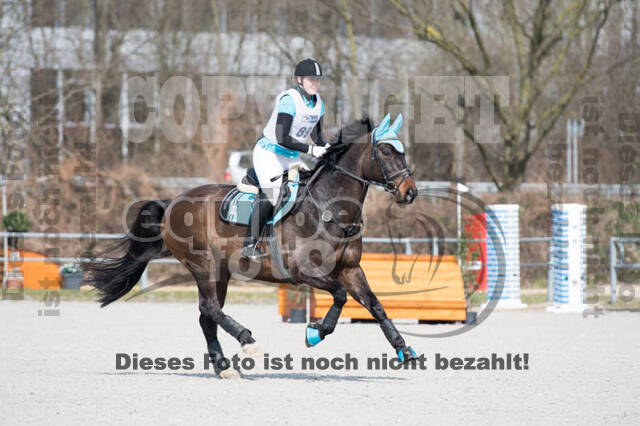 Eventing Langenfeld 2018