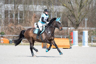 Eventing Langenfeld 2018