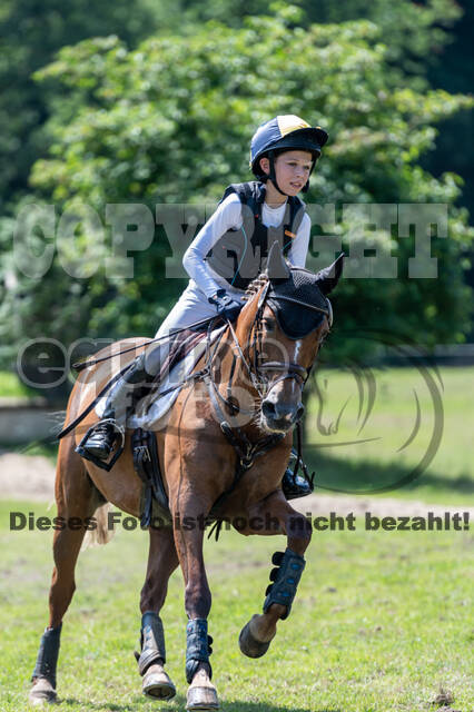 Goldene Schärpe 2021 - Ponys