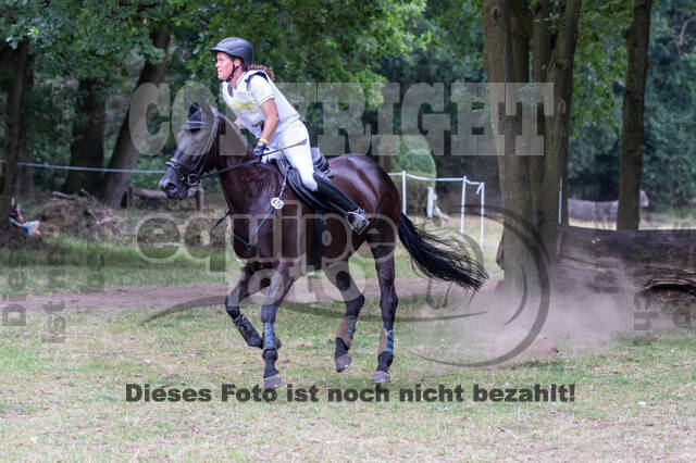 Late-Entry Vielseitigkeit Hamminkeln/Wesel (01.+02.08.2020)