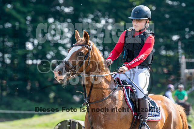Goldene Schärpe 2021 - Ponys