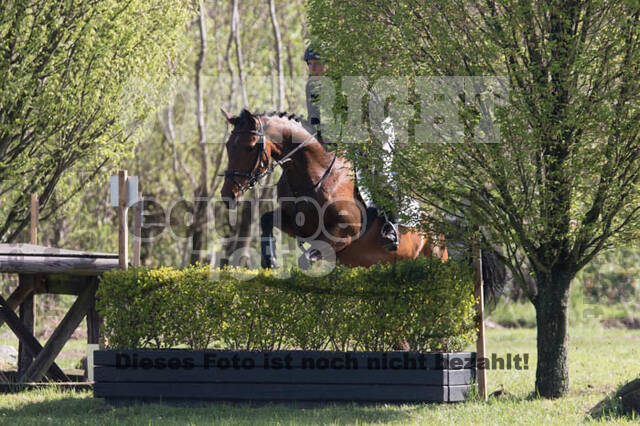 Vielseitigkeitsturnier RV Lippe-Bruch-Gahlen