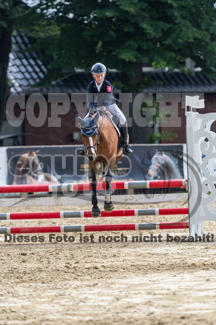 Goldene Schärpe 2021 - Ponys