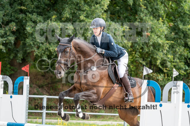 Late-Entry-Vielseitigkeit Langenfeld (06.+07.07.2020)