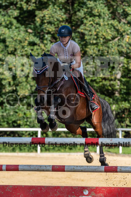 RFV Dinslaken-Hiesfeld (Herbstturnier)