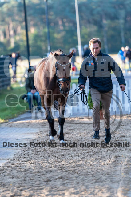 Deutsche Meisterschaft Vielseitigkeit (Luhmühlen)