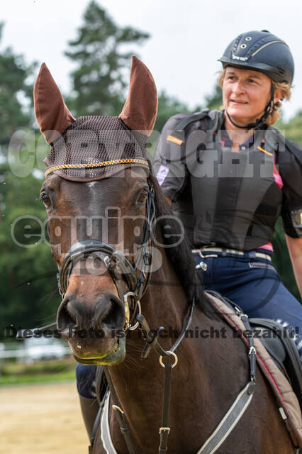 Hunter Geländetraining 10.07.2021 (Sonsbeck)
