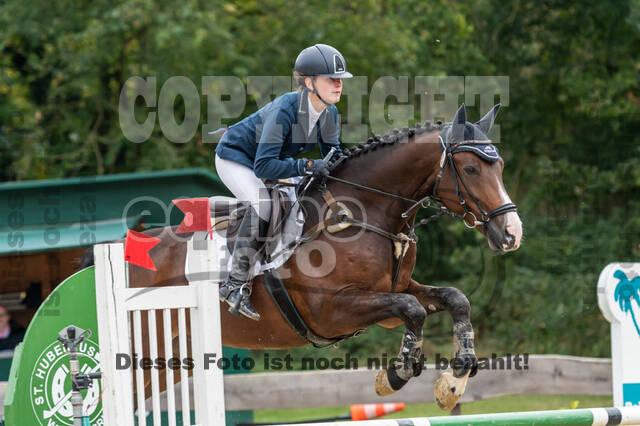 Vielseitigkeit RSV Wesel Obrighoven (26.+27.09.2020)