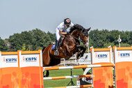 Kronenberg - De Peelbergen (August 2020)