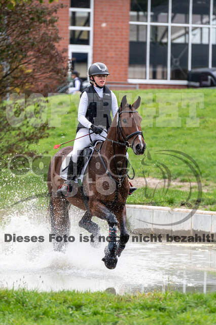 Goldene Schärpe 2020 - Pferde