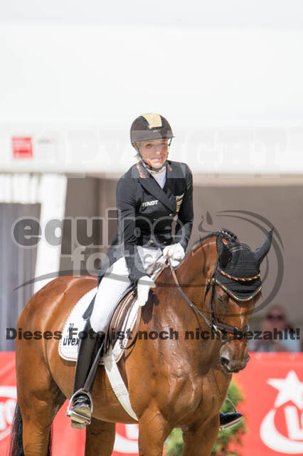 FEI European Championship Eventing 2017