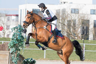 Eventing Langenfeld 2018