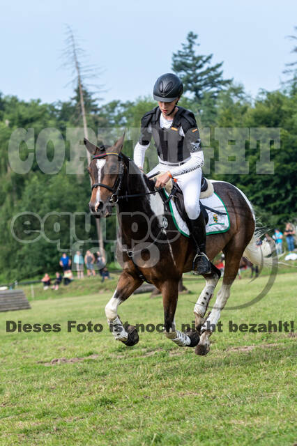 Goldene Schärpe 2021 - Ponys