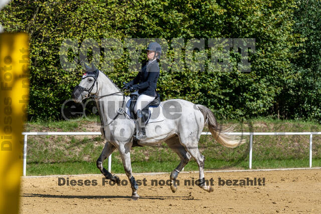 RFV Dinslaken-Hiesfeld (Herbstturnier)