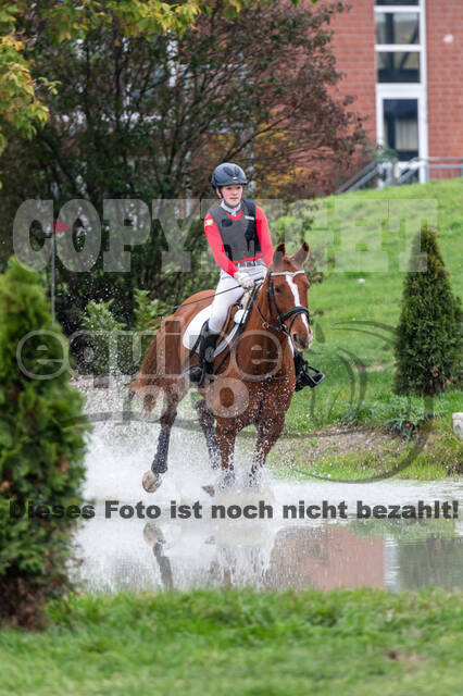 Goldene Schärpe 2020 - Pferde