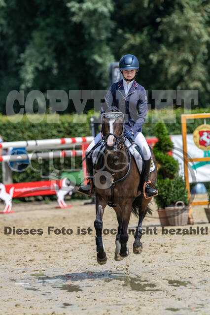 Goldene Schärpe 2021 - Ponys