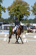 Kronenberg - De Peelbergen (August 2020)