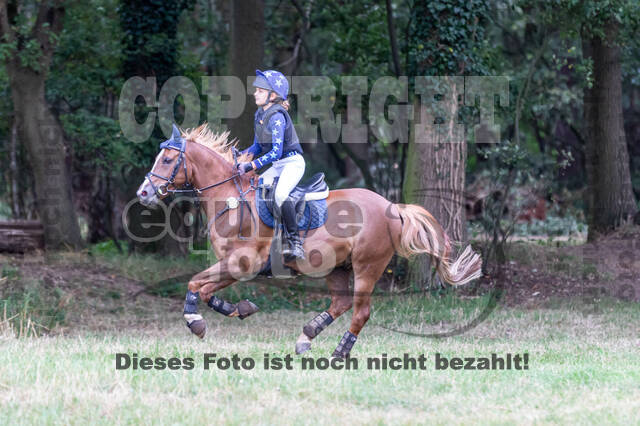 Late-Entry Vielseitigkeit Hamminkeln/Wesel (01.+02.08.2020)