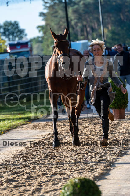 Deutsche Meisterschaft Vielseitigkeit (Luhmühlen)