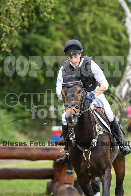 Late-Entry-Vielseitigkeit Langenfeld (11.+13./14.06.2020)