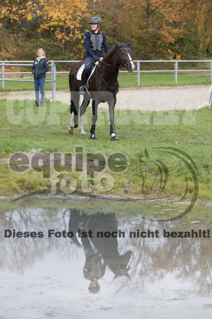 IGV Lehrgang der Sieger der Cups mit Frank Ostholt
