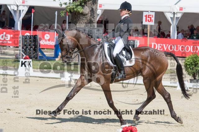 FEI European Championship Eventing 2017