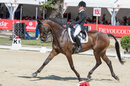 FEI European Championship Eventing 2017