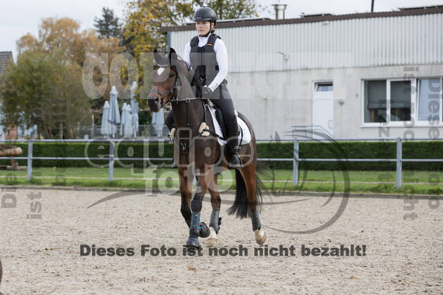IGV Lehrgang der Sieger der Cups mit Frank Ostholt