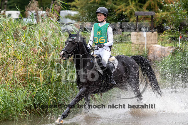 Vielseitigkeit RSV Wesel Obrighoven (26.+27.09.2020)