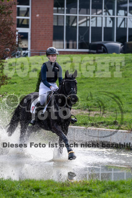 Goldene Schärpe 2020 - Pferde